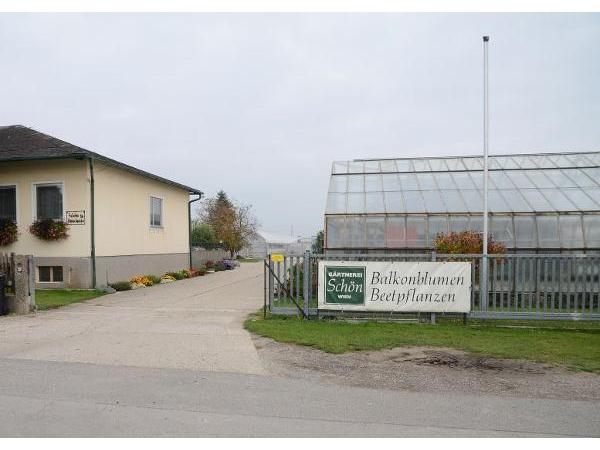 Bild 1 von Gärtnerei Schön