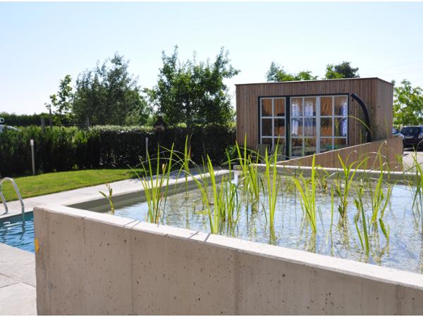 Bild 8 von Schwimmteich & Gartengestaltung Matheis KG