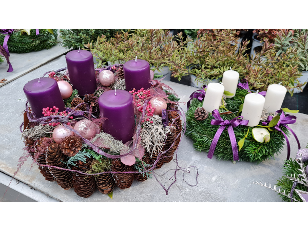 Bild 199 von Gartenbau-Blumen Helmut Friedl