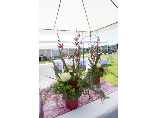Bild 5 von Blumen Lang - Katja Kanitsch-Lang