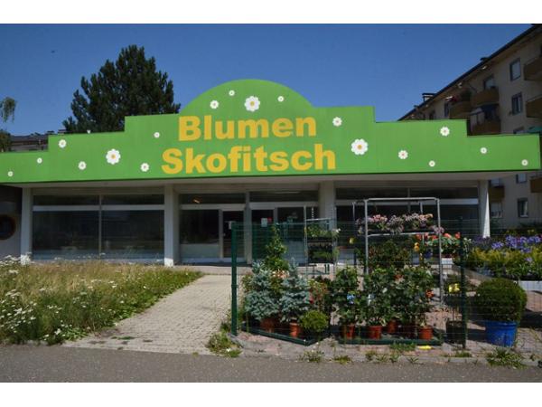 Bild 1 von Blumen Skofitsch HandelsgmbH