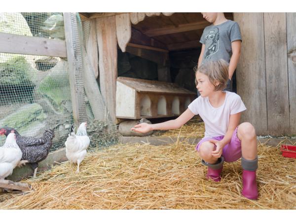 Bild 5 von Bauernhof-Pension Irxner