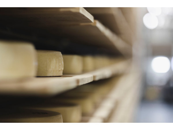 Bild 3 von Bertsch Foodtec GmbH - Produktionsstätte