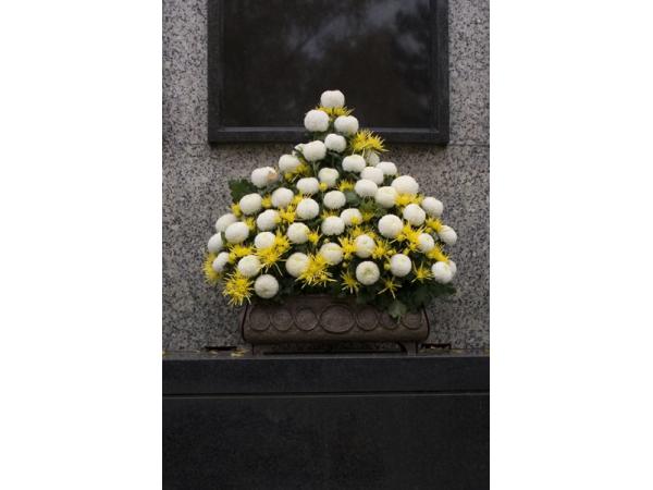 Bild 5 von Blumen Bauchinger GmbH