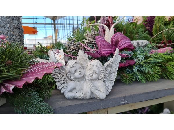 Bild 180 von Gartenbau-Blumen Helmut Friedl
