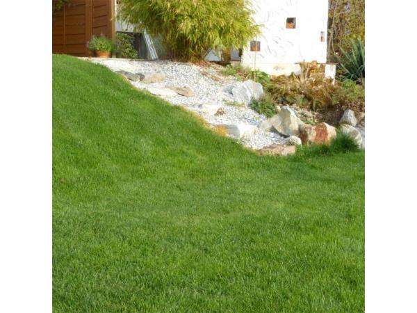 Bild 2 von Rasendoktor - TURF Handels GmbH