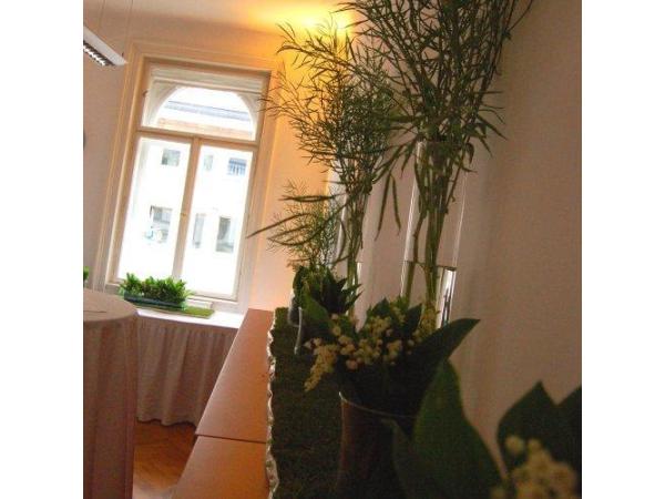 Bild 3 von Blumenstube Christine