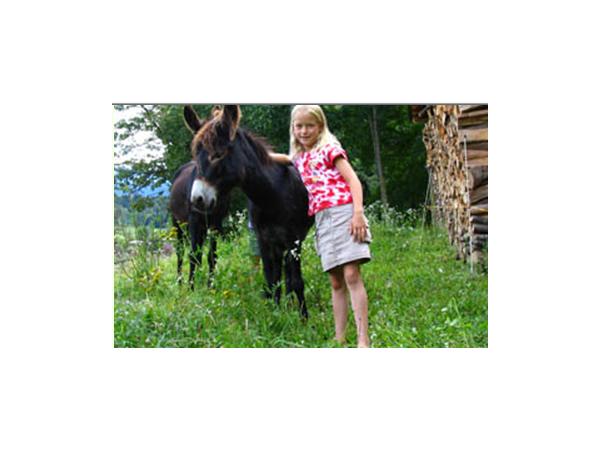 Bild 4 von Kokarnig - Urlaub am Bauernhof