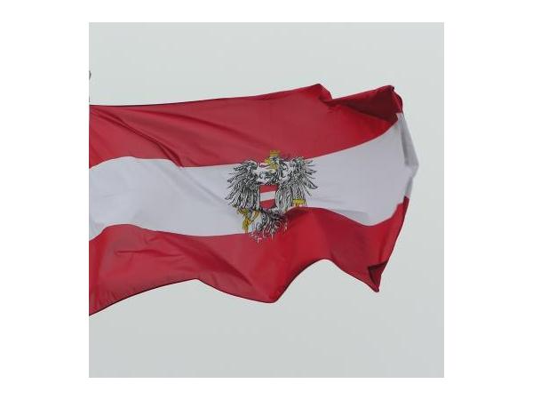 Bild 1 von CZERNY Handels GmbH