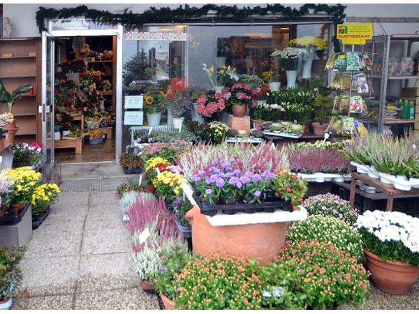 Bild 7 von Blumenhaus Kamaritsch