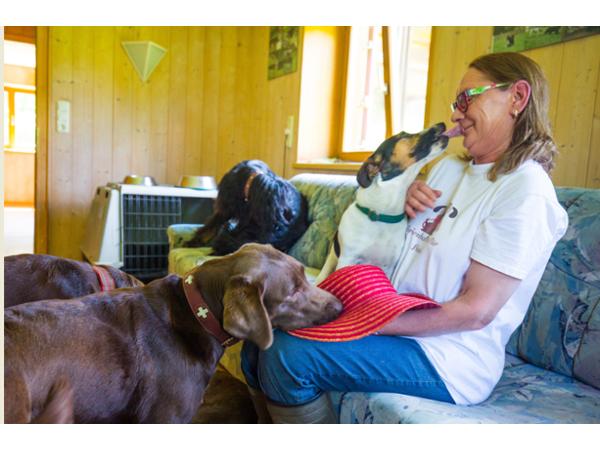 Bild 18 von Ferienhof Iris für Hunde