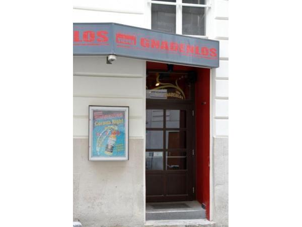 Bild 1 von Vienna Gnadenlos