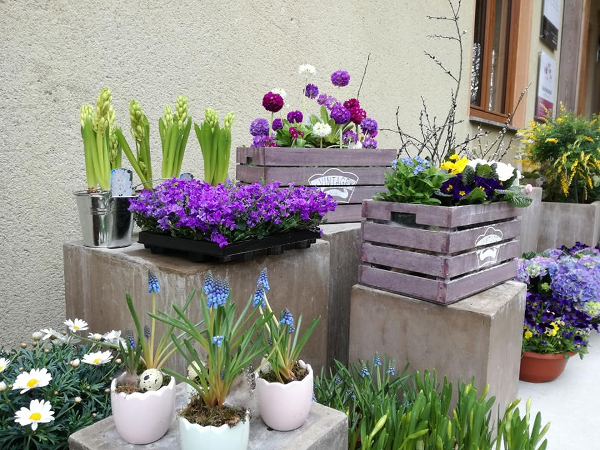 Bild 17 von blumenzeit - Anneliese Mahl