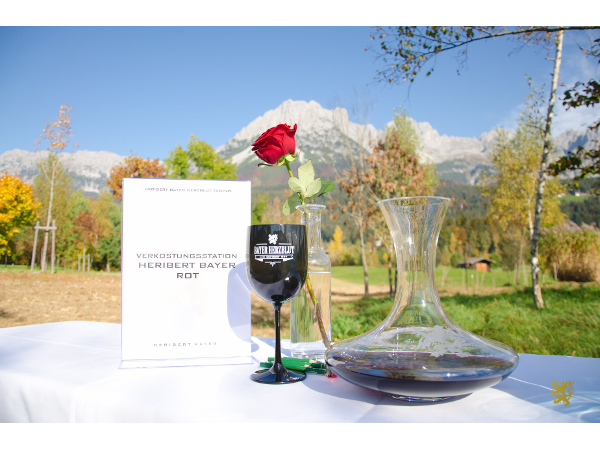 Bild 11 von Heribert Bayer Weingut In Signo Leonis GmbH
