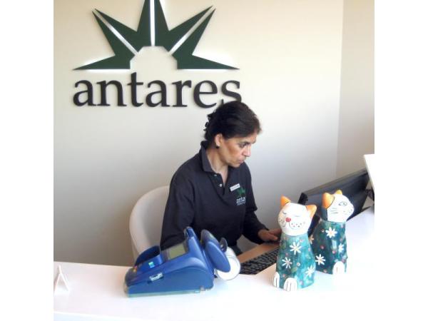 Bild 1 von Tiergedenkstätte Himmelgarten Antares Tierbestattungen GmbH