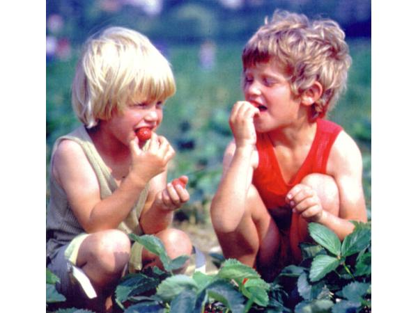 Bild 1 von Beergarten - Kohlweiss Friederike