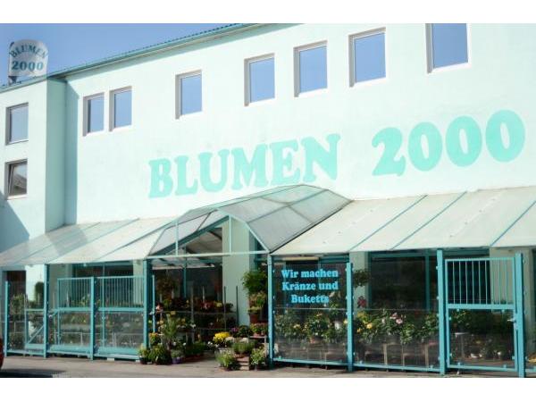 Bild 1 von Blumen 2000 Handels GmbH