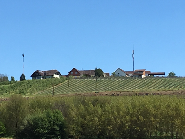 Bild 26 von Maluhof - Hofladen, Festschenke, Erlebnisgarten
