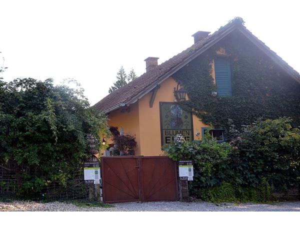 Bild 5 von Blumenelke Kamaritsch Heim & Garten