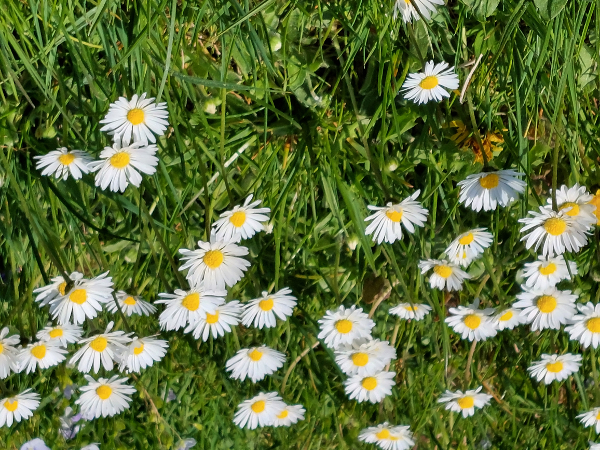 Bild 62 von Haus Christoph