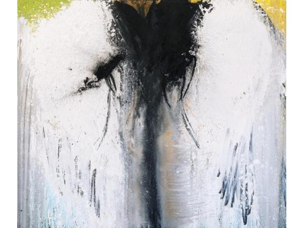 Bild 5 von Galerie Gölles