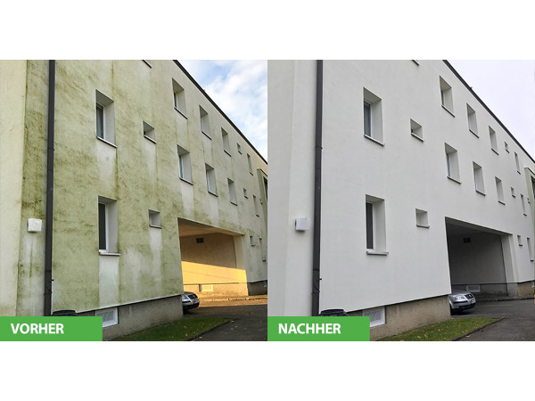 Bild 9 von Algenmax GmbH - Fassadenreinigung