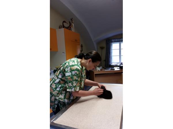 Bild 3 von Dr. med. vet. Christine Robia