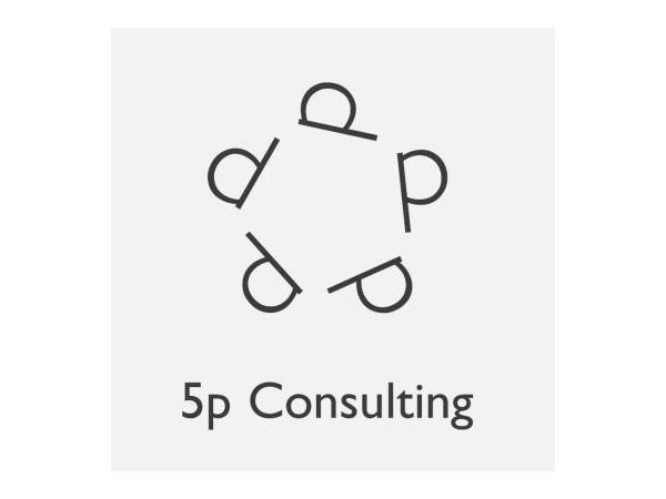 Bild 2 von 5p Consulting GmbH
