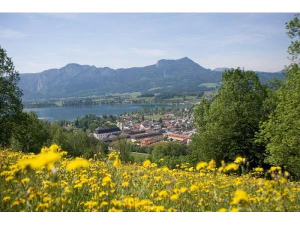 Bild 3 von Ferienhof Hölzlbauer - Grabner Anton u Erna
