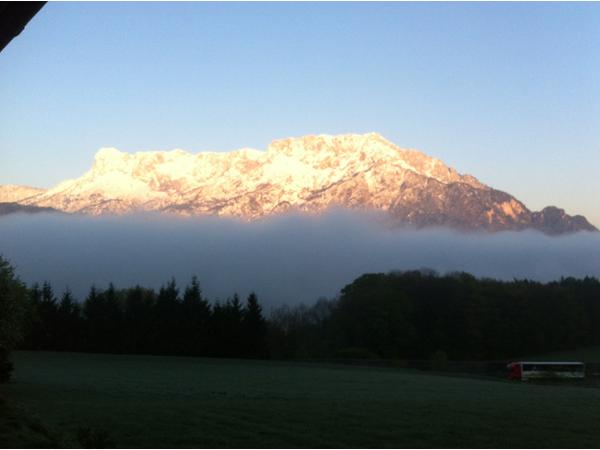 Bild 2 von Gasthof Pension David