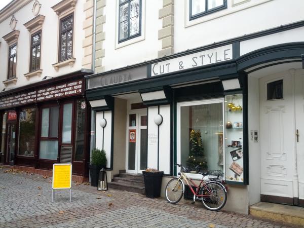 Bild 1 von Claudia CUT & STYLE Haarstudio Claudia Zinner