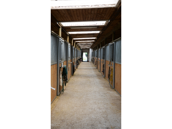 Bild 3 von HALMERHOF REITSTALL