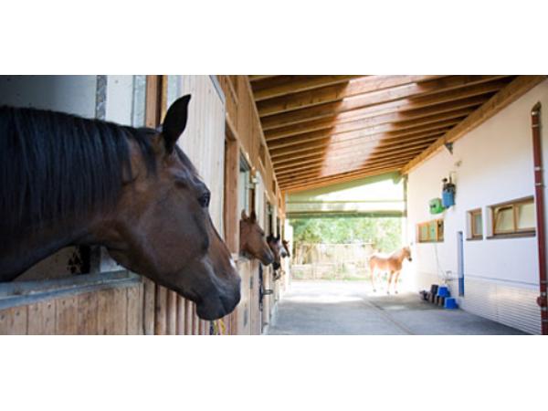 Bild 1 von Tierklinik Gnadenwald