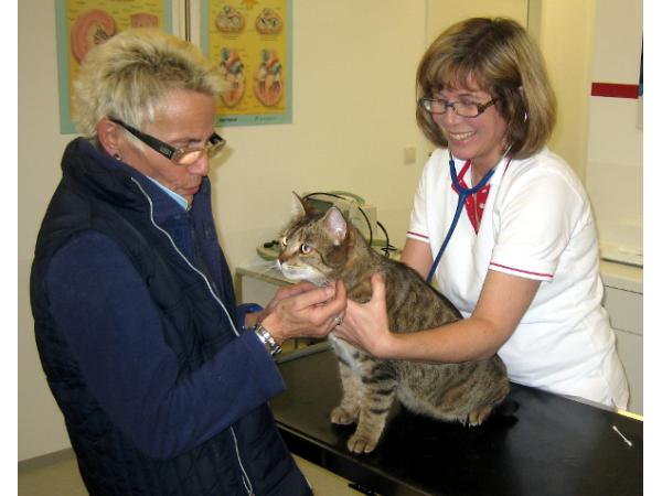 Bild 1 von TIERAMBULANZ Premstätten - Dr. Petra Tatzer