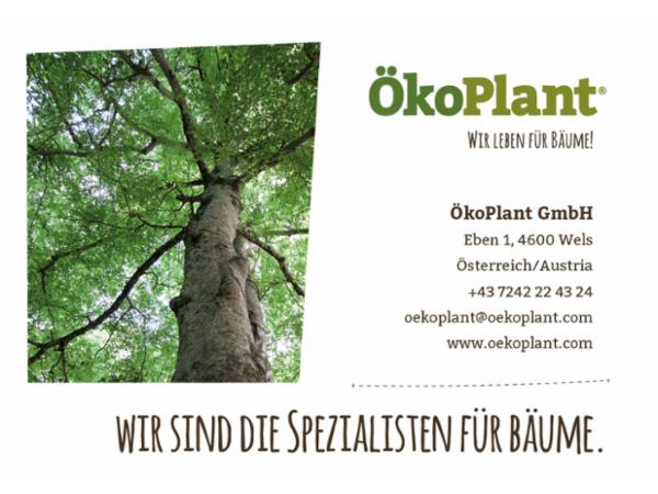 Bild 1 von ÖkoPlant GmbH Baumschule