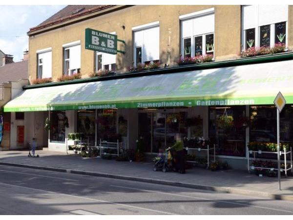 Bild 1 von Blumen B & B R. Bigl GesmbH