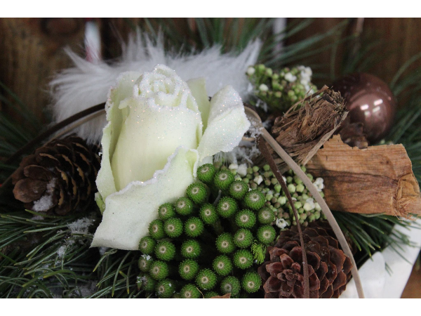 Bild 18 von Blumen Resinger