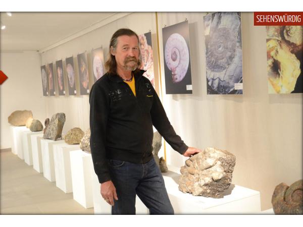 Bild 1 von Fossilienmuseum Gerhard Wolf
