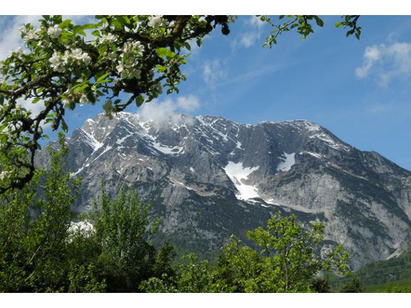 Bild 1 von Goschnhof