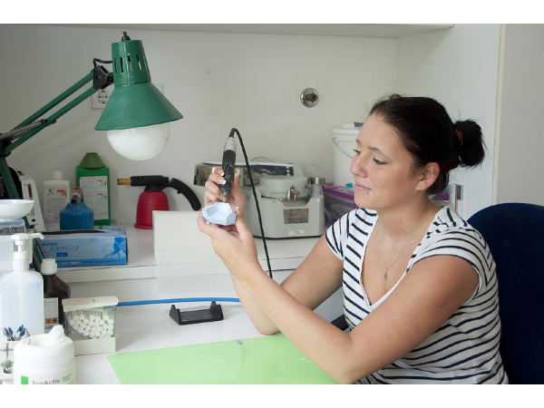 Bild 4 von Dr. Dosti Karin