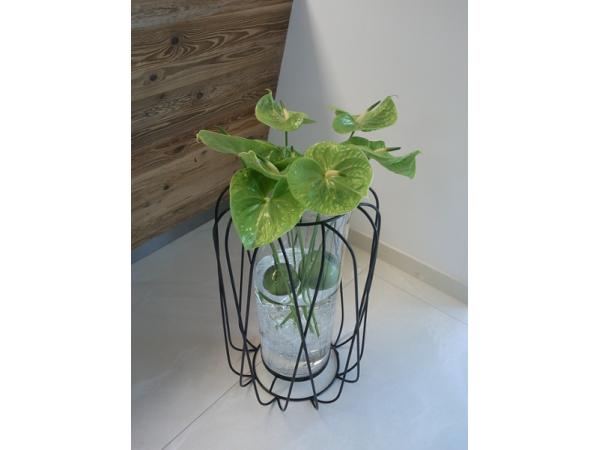 Bild 12 von Blumen Egger - Meisterfloristik