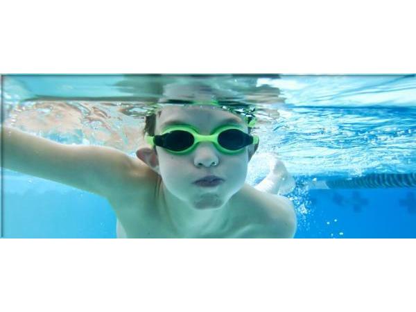 Bild 2 von bambini Schwimmschule Salzburg  - Peter Pölzl jun.