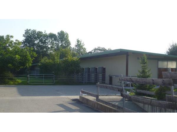 Bild 8 von Reitanlage Krizek
