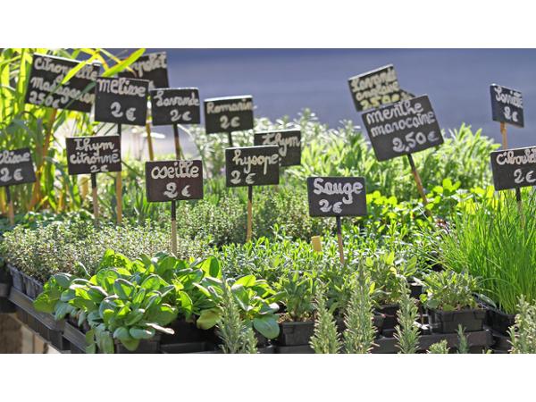 Bild 1 von Blumen Steurer | Ihr Landflorist am URTELHof