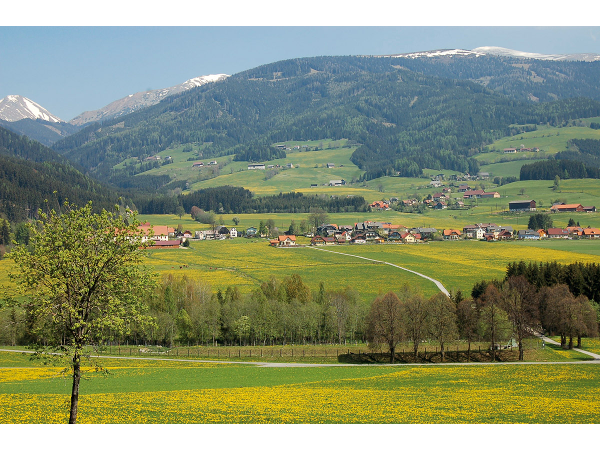 Bild 9 von Gemeindeamt der Gemeinde Gaal