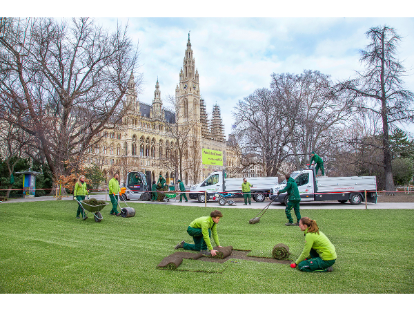 Bild 11 von Steinbauer Garten- und Landschaftsgestaltung GmbH