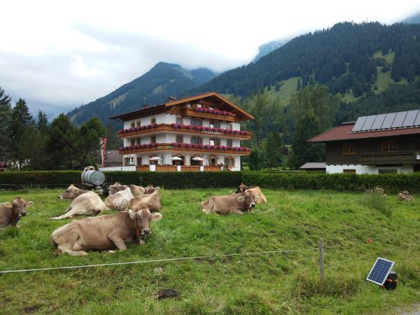 Bild 1 von Pension Tirolerhof