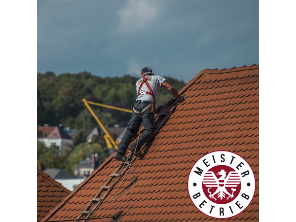 Bild 9 von PP-Dach GmbH