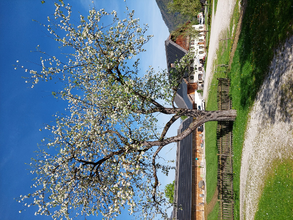 Bild 67 von Haus Christoph