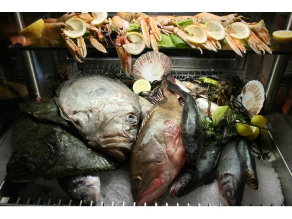 Bild 7 von Fischrestaurant Adria